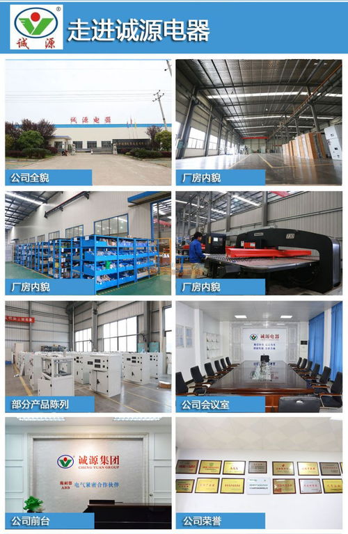 双电源配电箱生产厂家 诚源电器 产品求精 服务快捷